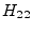 $\displaystyle H_{22}$